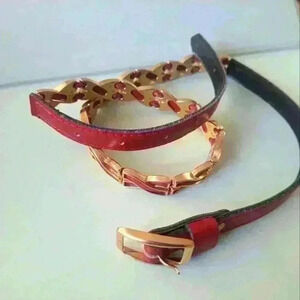 Red  and gold belt